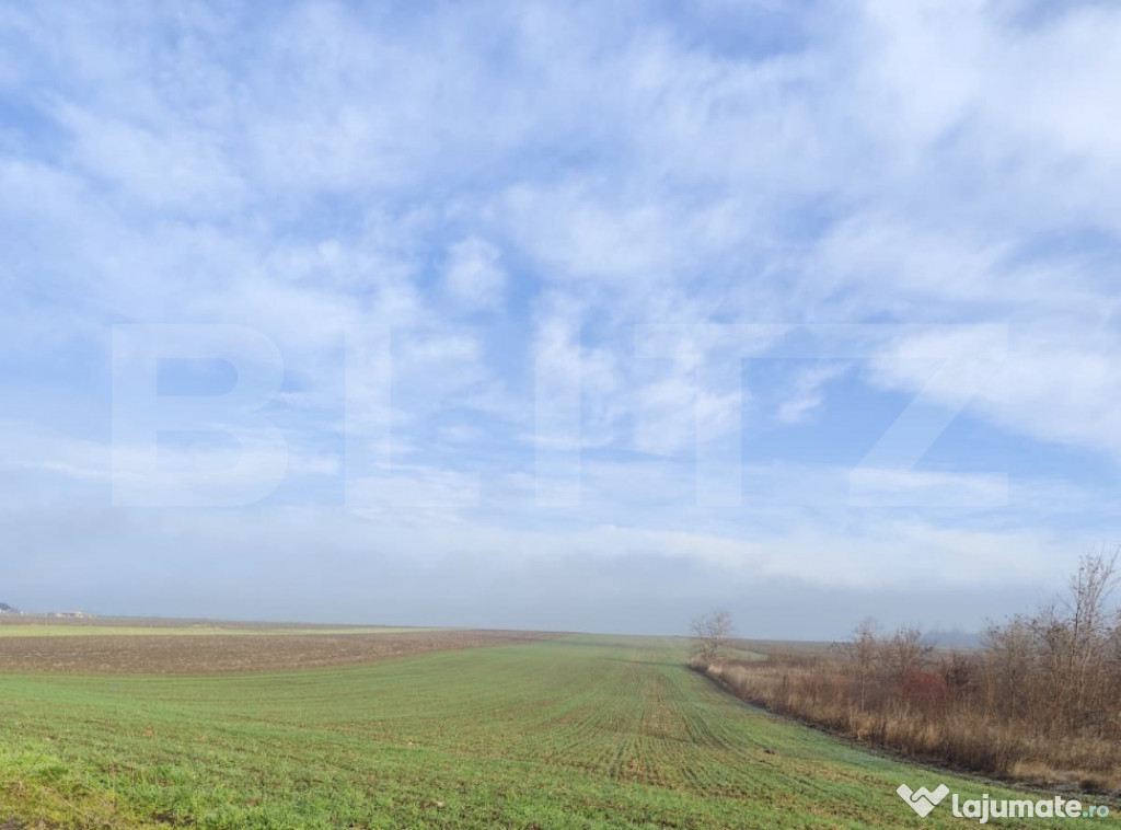 Teren 15000 mp extravilan, Miroslava-Vorovesti, langa zona d