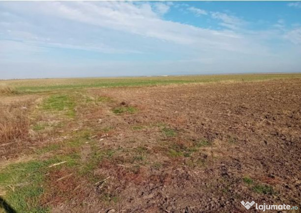 Cota de 3/8 din teren extravilan, Sacosu Turcesc, Jud Timis