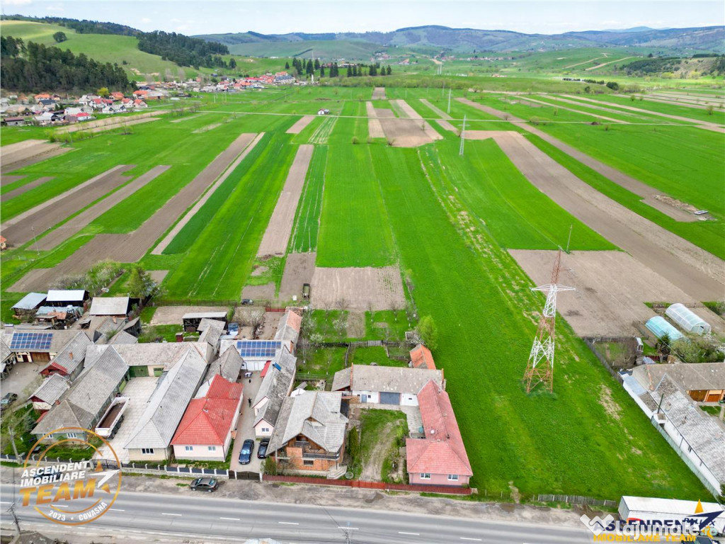 Ansamblu:doua case anexe domeniu de 10.101mp, Intorsura Buza