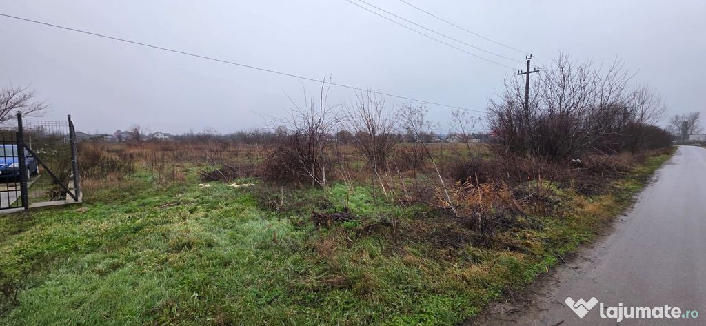Teren 5000 mp 1 decembrie - strada Oituz