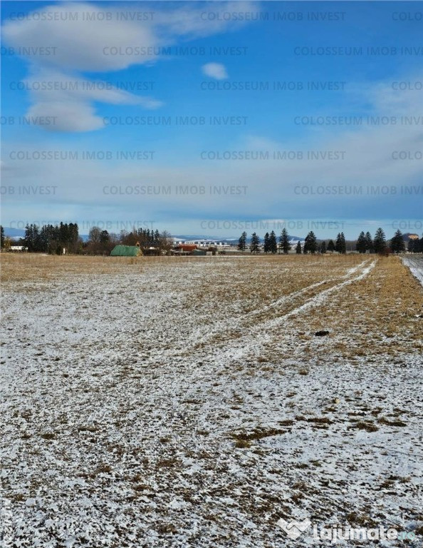 COLOSSEUM: Teren Intravilan zona Chefler