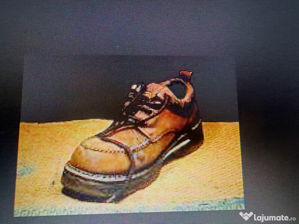 Pantofi folosiți negri