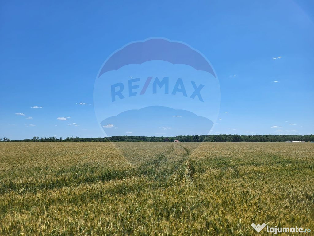 Teren intravilan 4,100 mp, fs 18 ml si 2222 mp fs 16 ml P...