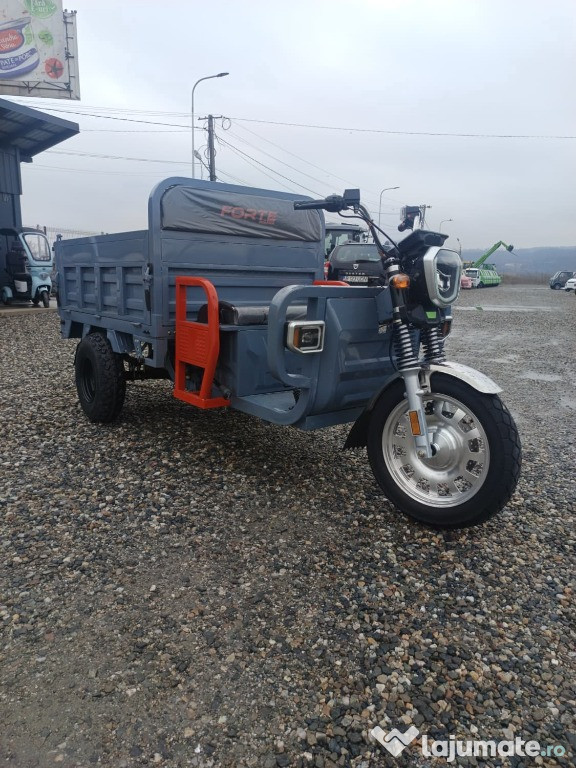 Forte Cargo 1000, acumulatori litiu-ion, basculare hidraulica, 1Tona