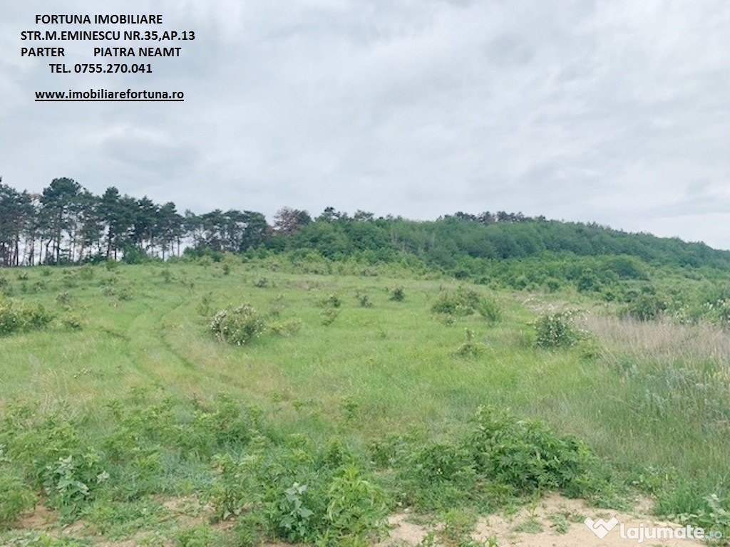 Teren zona Pietricica, cadru natural superb