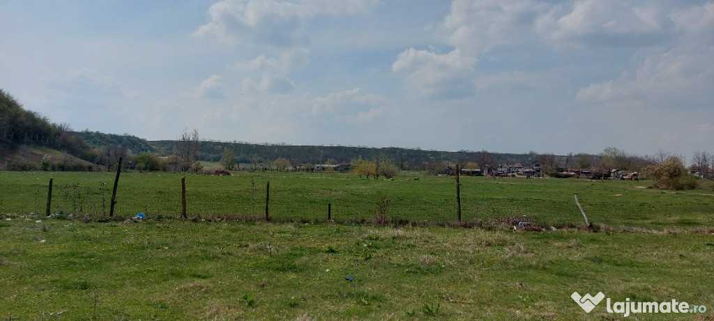 Teren intravilan 3109mp