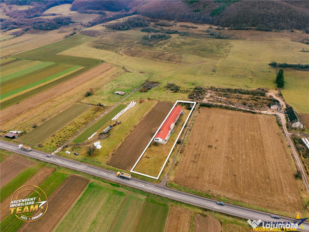 FILM! Ferma de iepuri,Malnas,Covasna: domeniu:industrial com