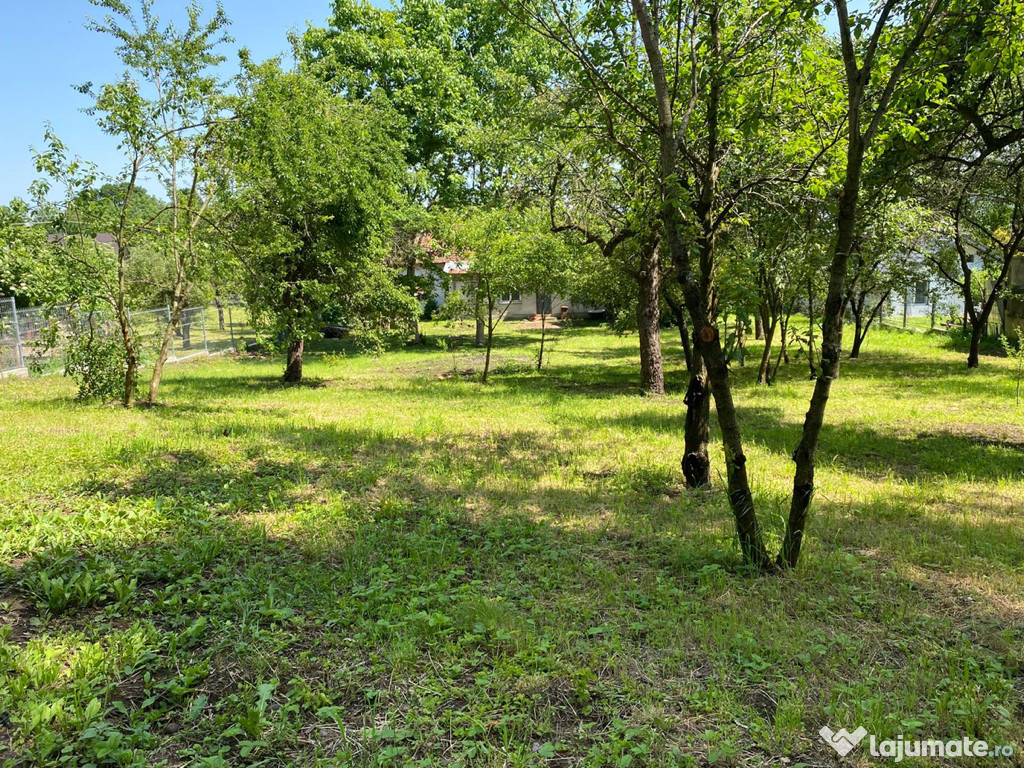 Casa cu teren 2105 mp Campina zona rezidentiala