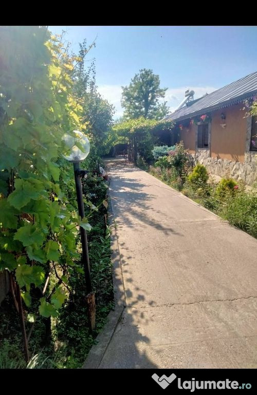 Casă de vânzare în comuna Costache Negri