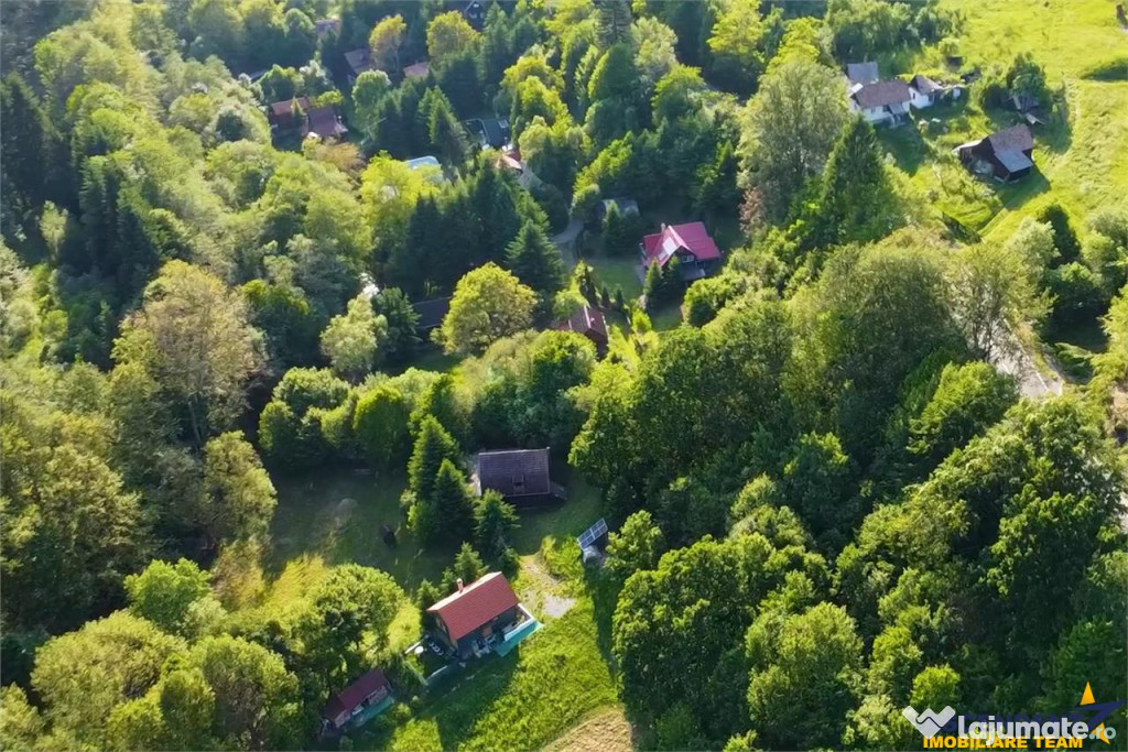 FILM!Casa Cabana 2.000 mp teren in miracolul naturii autent