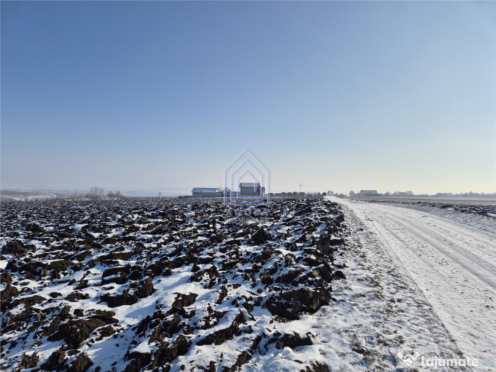 Teren extravilan Sf. Ilie