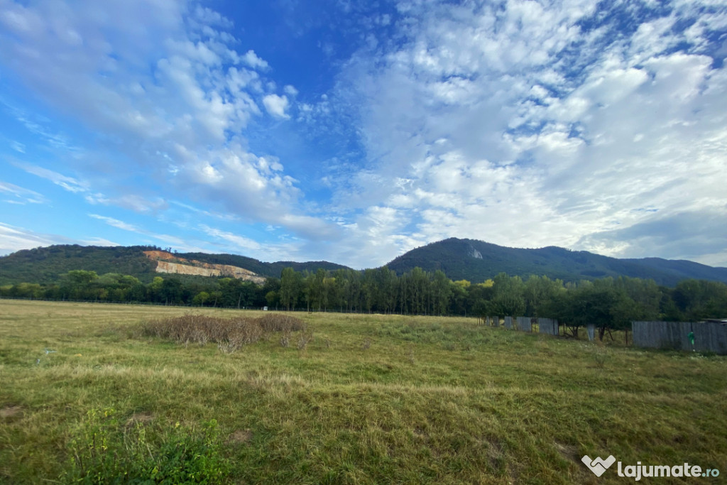 Teren intravilan 13 820 mp, cu acces pe un drum asfaltat, re