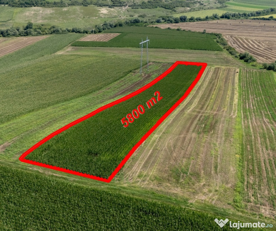 Teren agricol de vânzare