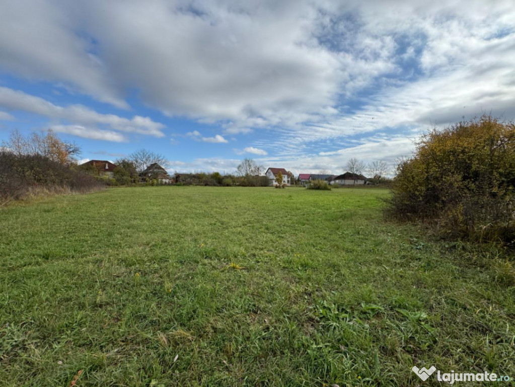 Teren intravilan de vânzare – 35 ari, Sat Mogoșești, co