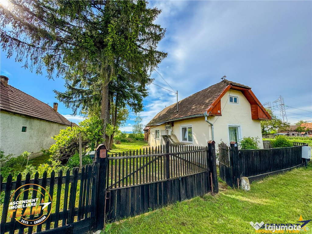 FILM! Casa pitoreasca anexe 1.500mp teren, Santionlunca,