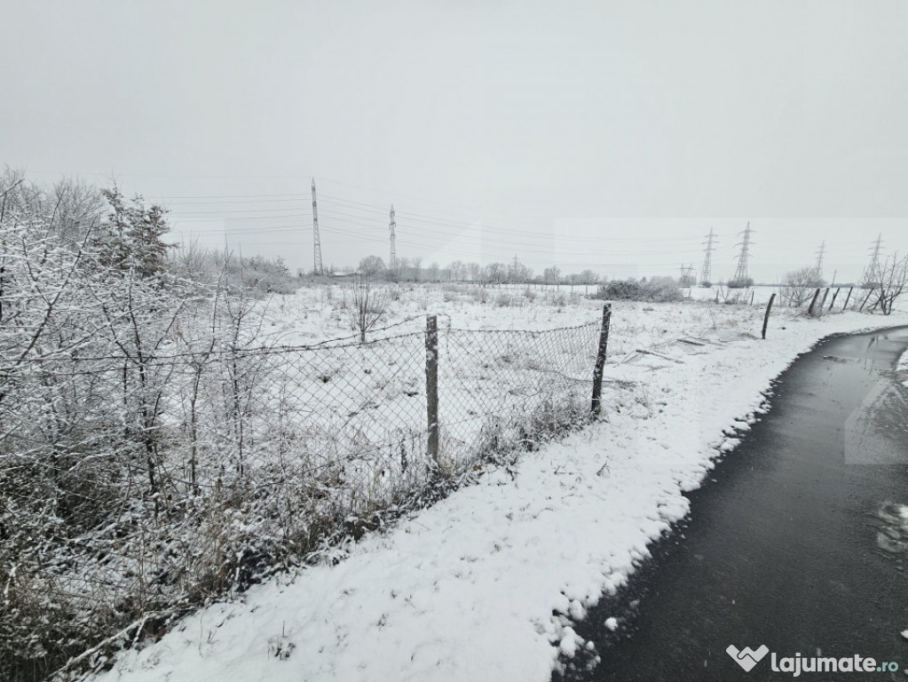 Teren Ronat Timisoara