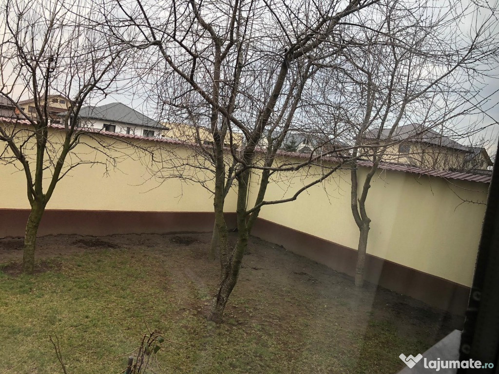 Taieri pomi fructiferi