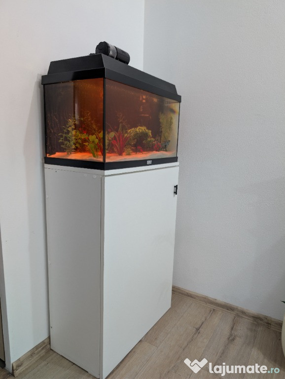 Vand Acvariu Juwel 54 litri + stand – complet echipat