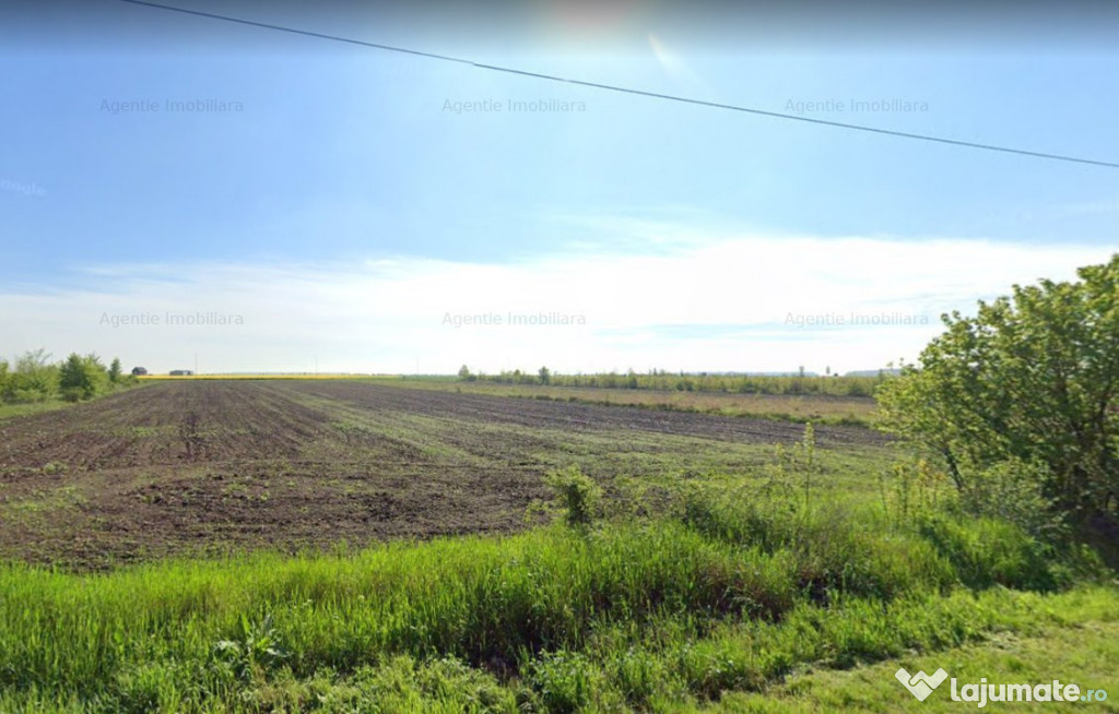 Teren Branesti 1016 mp - intre padure si A2 - Comision 0%