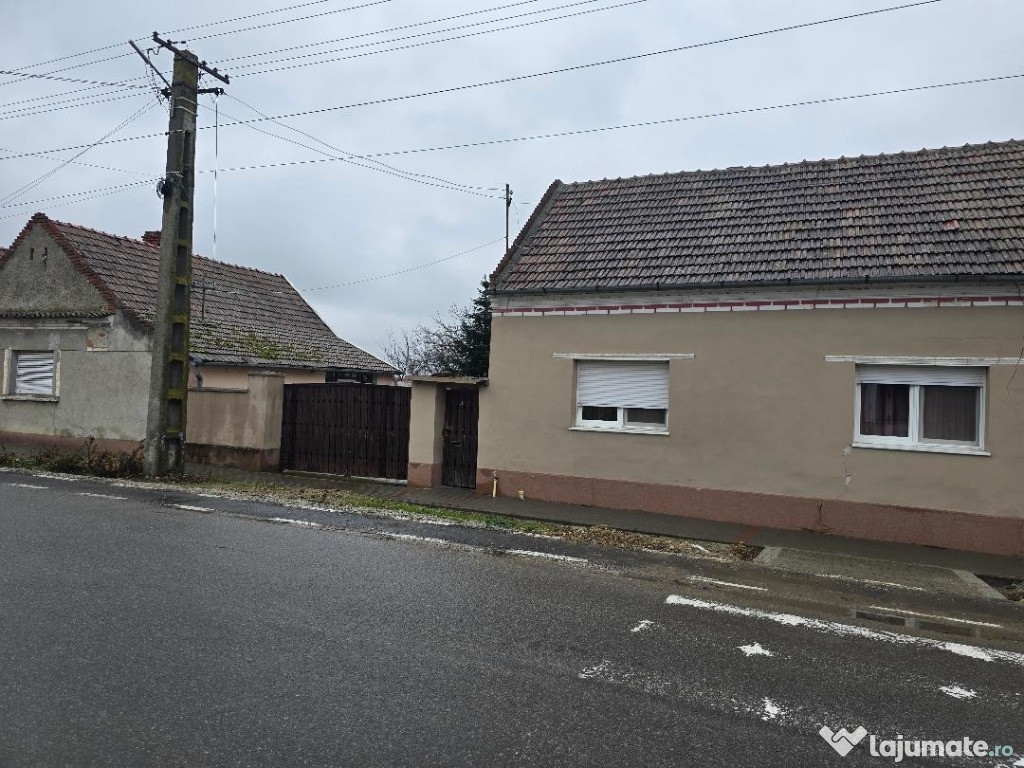 Casa plus anexa parter, Tamaseu central, gaz, sosea , ter 3040 mp