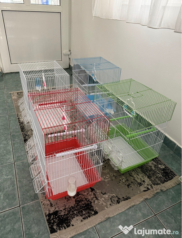 Colivii papagali diferite dimensiuni