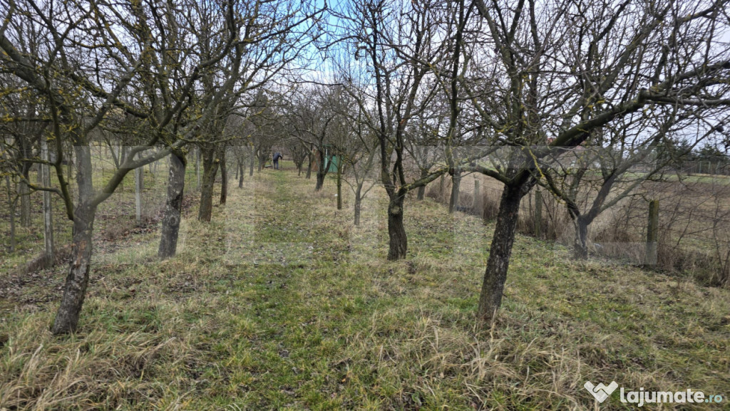 Teren intravilan - livada si vie- 20 ari - Viile SATU MARE