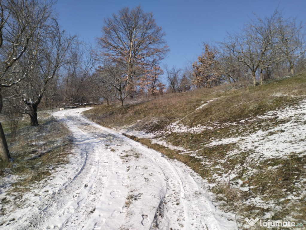 Moșia boierească din vârf de deal, Scorțeni - Prahova