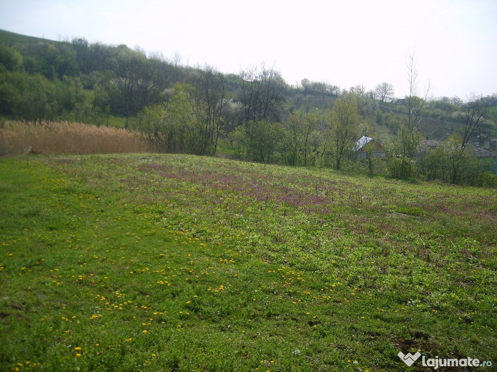 998 mp teren intravilan,gradina,oraseni vale,botosani
