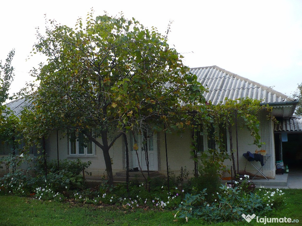 Casa ieftina la tara (din 1995) + teren 3667 mp Carja