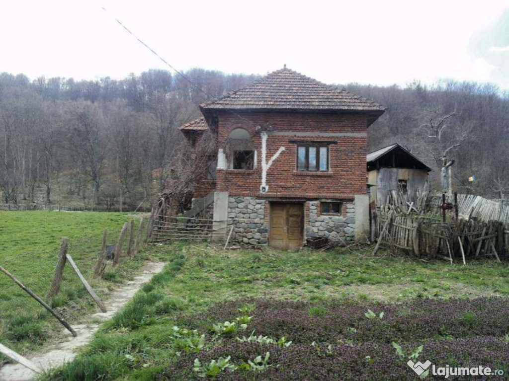 Casă+teren comuna Mușatești,sat Robaia