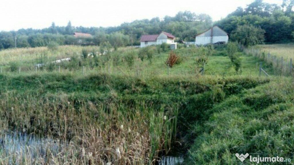 Imobil și teren - Horodniceni Suceava