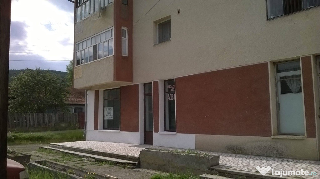 Spatiu comercial Central