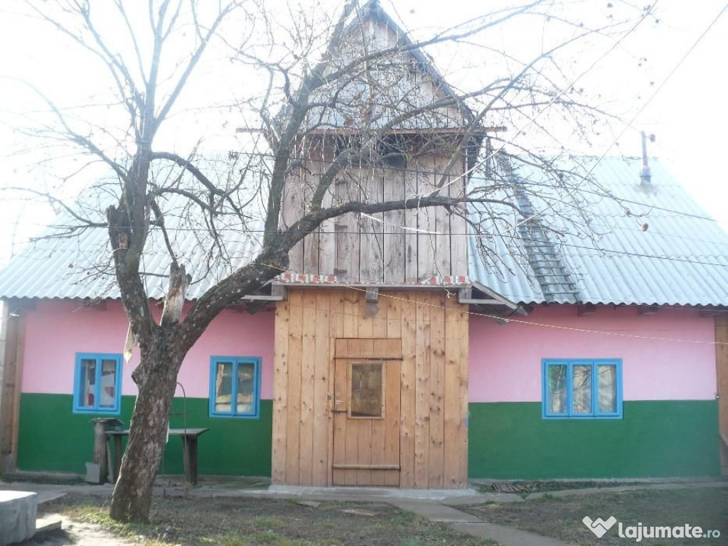 Casă renovată,anexe noi! Tudor Vladimirescu