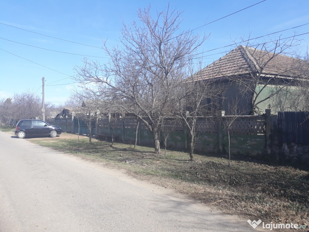 Casa cu teren + vie Aurora, Mehedinti