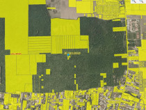 Teren Intravilan - 2.248 mp, Voluntari ID; 9313 si 18729