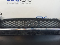 Grila Fata Hyundai Santa Fe 2.0CRDI 2000 - 2004