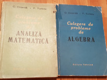 Culegeri de probleme de algebra / analiza matematica Cosnita