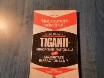 Tiganii minoritate nationala sau majoritate M. Bacanu
