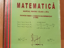 Matematica XI Trunchi comun + Curriculum diferentiat Ganga