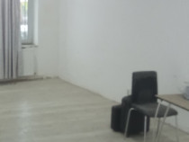 Casa demisol parter si mansarda