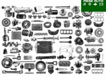 Control Distributie Renault Laguna