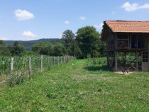 Teren intravilan cu suprafata de 1980 mp, in zona Malureni