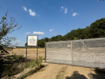 Teren de vanzare,lotizat, Snagov -Mega promotii de pret!