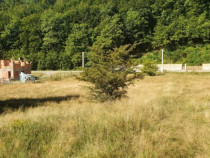 Teren Județul Vâlcea - Brezoi, Valea lui Stan