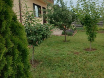 Casă 3 camere+living, Valea Adânca, terasa, beci