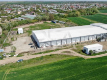 Hala temperatura controlata | Depozitare/Productie | Vidra\C