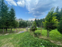 Pensiunea 9 camere 482 mp-teren 1 ha-Lac-Piatra Fantanele...