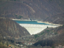 Teren 5000 mp în Sotrile, 3 km de Paltinu, 5000 mp padure