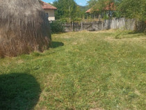 Teren Intravilan, situat în Sat Tismana (zona Gornovita)