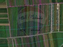 Teren 10,000 metri pătrați Tărlungeni / Strada Zizinului